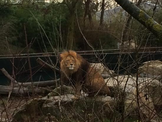 Collezione Statale Zoologica di Monaco